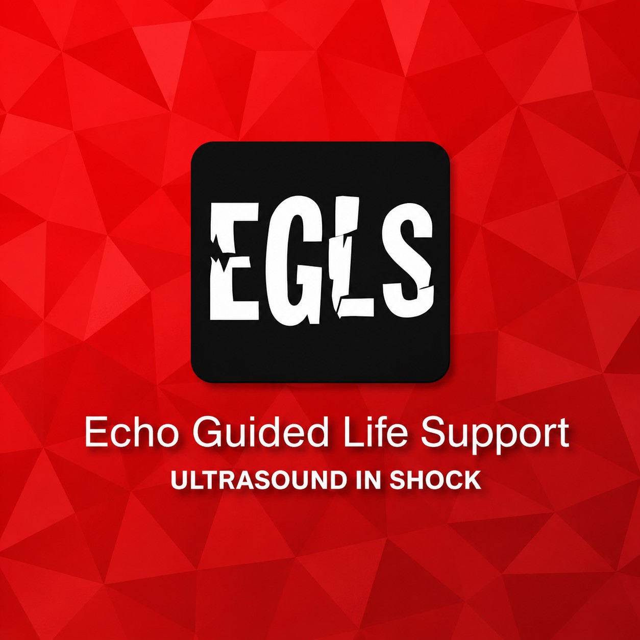 ECHO-Guided Life Support Using ultrasound to categorise shock and guide initial management ECHO-Guided Life Support Using ultrasound to categorise shock and guide initial management