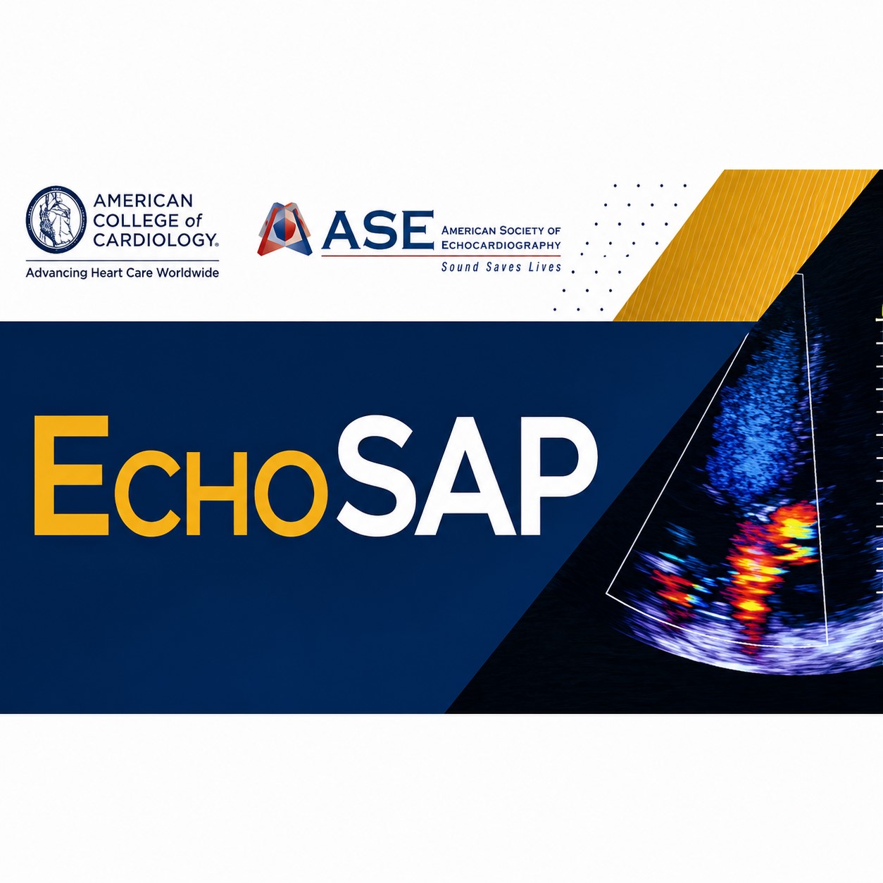 EchoSAP (ACC Echocardiography Self-Assessment Program) EchoSAP (ACC Echocardiography Self-Assessment Program)