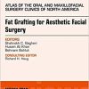 Fat Grafting For Aesthetic Facial Surgery An Issue Of Atlas Of The Oral Maxillofacial Surgery Clinics Volume 26 1 The Clinics