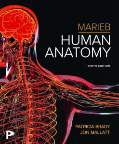 Marieb Human Anatomy, 10th edition (Original PDF from Publisher)