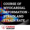 Morcerf Course of Myocardial Deformation – Strain and Strain Rate 2020