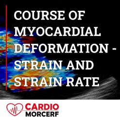 Morcerf Course of Myocardial Deformation – Strain and Strain Rate 2020