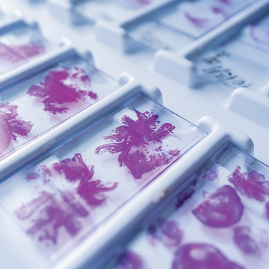 Oakstone Need-to-Know Pathology – A Review for Physicians in a Hurry 2026 Oakstone Need-to-Know Pathology – A Review for Physicians in a Hurry 2026