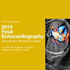 2019 Fetal Echocardiography: Normal and Abnormal Hearts