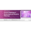 2026 Current Challenges in Gynecologic and Obstetric Pathology (Videos + Slides) 2026 Current Challenges in Gynecologic and Obstetric Pathology (Videos + Slides)