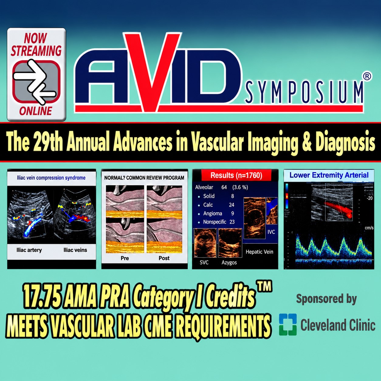 29th Annual Advances in Vascular Imaging and Diagnosis 2019 29th Annual Advances in Vascular Imaging and Diagnosis 2019