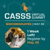 CASSS Sharing Science Solutions Bioconjugate Virtual Summit 2026