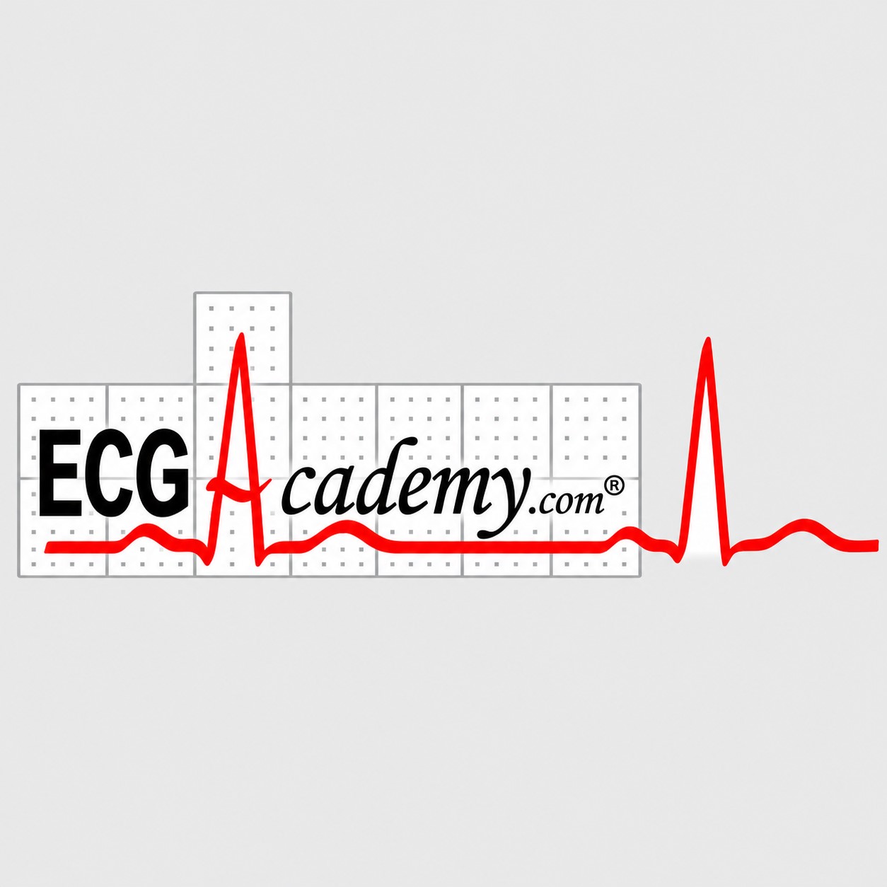ECG Academy 2020 ECG Academy 2020