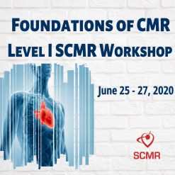 Foundations Of CMR – Level I SCMR Workshop 2020