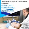 Gulfcoast Ultrasound Institute : Advanced Vascular Ultrasound / DUPLEX / COLOR FLOW ULTRASOUND (On-Demand Videos) Gulfcoast Ultrasound Institute : Advanced Vascular Ultrasound / DUPLEX / COLOR FLOW ULTRASOUND (On-Demand Videos)