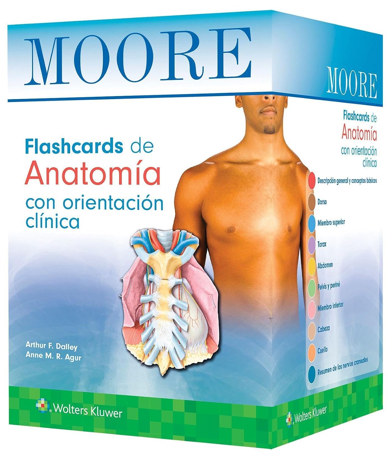 Moore. Flashcards de Anatomía con orientación clínica (Spanish Edition) (Original PDF from Publisher) Moore. Flashcards de Anatomía con orientación clínica (Spanish Edition) (Original PDF from Publisher)