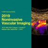 Noninvasive Vascular Imaging 2019