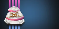 OHI-S OrthoEvolution 3.0 4 lessons 5h 54min
