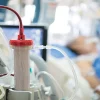 Oakstone The Brigham Board Review and Comprehensive Update in Critical Care Medicine 2026 Oakstone The Brigham Board Review and Comprehensive Update in Critical Care Medicine 2026