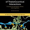 Further Explorations of Thalamocortical Interactions