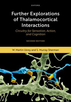Further Explorations of Thalamocortical Interactions