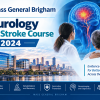 Mass General Brigham Neurology Post Stroke Course 2024 Mass General Brigham Neurology Post Stroke Course 2024