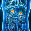 Oakstone Intensive Review of Endocrinology and Metabolism 2025