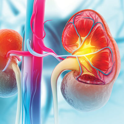 Oakstone Intensive Review of Nephrology 2026 Oakstone Intensive Review of Nephrology 2026