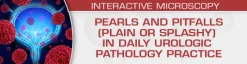 pearls and pitfalls plain or splashy in daily urologic pathology practice 510x132 1 1