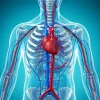 Hospital for Special Surgery Contemporary Topics in Vasculitis 2024