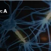 Harvard Neuropsychiatry: A Comprehensive Update 2024