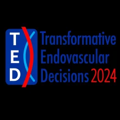 Transformative Endovascular Decisions Conference 2024