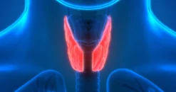 Harvard Clinical Endocrinology 2022