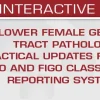 USCAP Lower Female Genital Tract Pathology: Practical Updates from the WHO and FIGO Classification and Reporting Systems 2025 USCAP Lower Female Genital Tract Pathology Practical Updates from the WHO and FIGO Classification and Reporting Systems 2025
