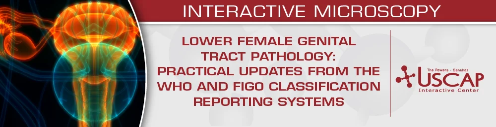 USCAP Lower Female Genital Tract Pathology: Practical Updates from the WHO and FIGO Classification and Reporting Systems 2025 USCAP Lower Female Genital Tract Pathology Practical Updates from the WHO and FIGO Classification and Reporting Systems 2025