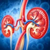 Oakstone Intensive Review of Nephrology 2025 Oakstone Intensive Review of Nephrology 2025