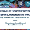 Harvard Critical Issues in Tumor Microenvironment Angiogenesis, Metastasis and Immunology 2025 Harvard Critical Issues in Tumor Microenvironment Angiogenesis, Metastasis and Immunology 2025