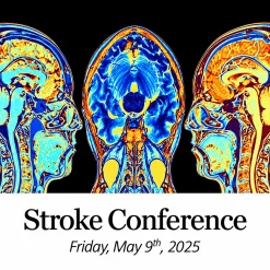 Carle Health System Stroke Conference 2025