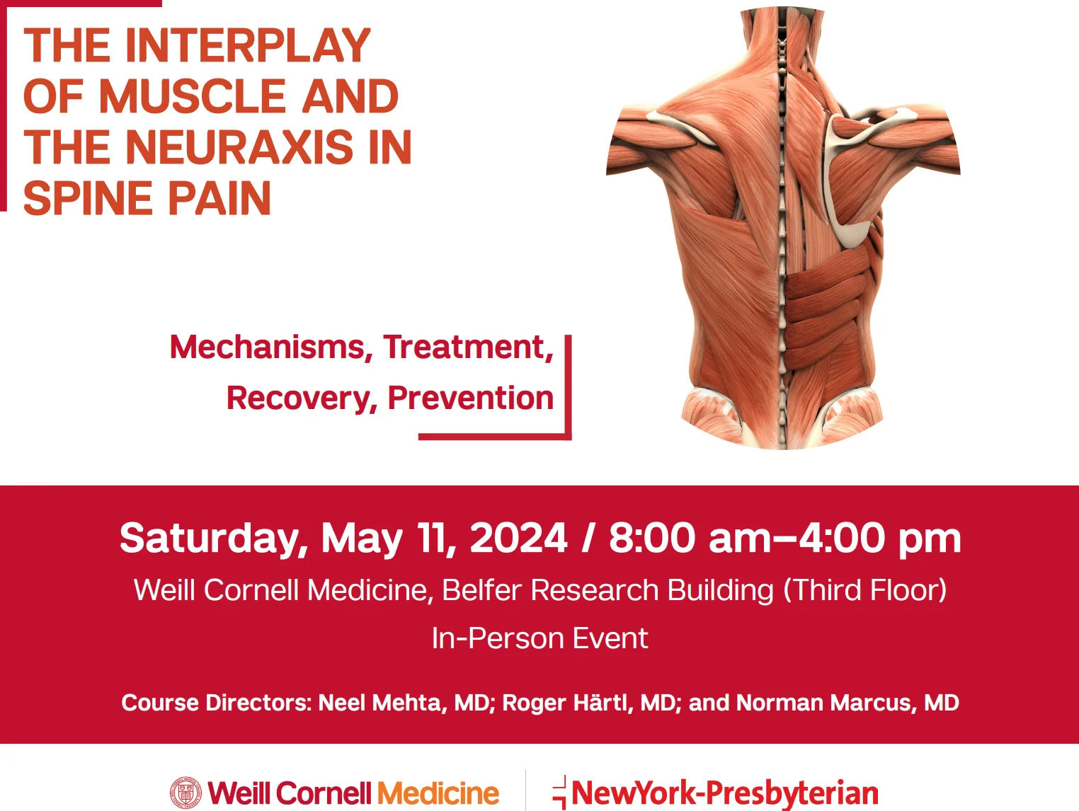 The Interplay of Muscle and the Neuraxis in Spine Pain 2024 The Interplay of Muscle and the Neuraxis in Spine Pain 2024