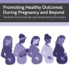 Promoting Healthy Outcomes During Pregnancy and Beyond: The Role of Community and Social Service Providers (Original PDF from Publisher)