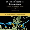 Further Explorations of Thalamocortical Interactions