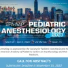 Society for Pediatric Anesthesia and the American Academy of Pediatrics Pediatric Anesthesiology 2023 1