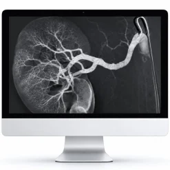 ARRS Case-Based Subspecialty Review 2021