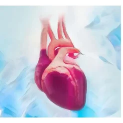 Cardiac Surgery Certification (CSC) Review Course 2022 (Videos + Slides + Quiz)